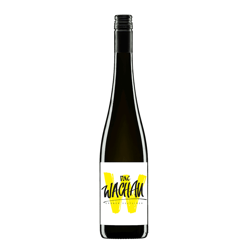 Featured image for “Grüner Veltliner Federspiel Wachau DAC 2021”