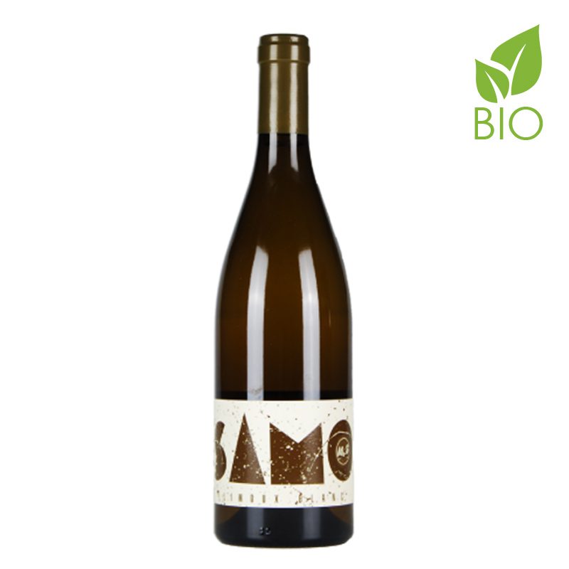 Featured image for “Samo Blanc 2019”