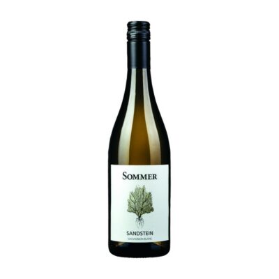 Sauvignon Blanc Sandstein 2025